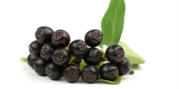 Plodovi crnog planinskog pepela korisni za dijabetes